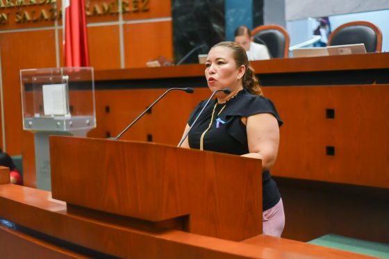 Exhorta el Congreso a CICAEG verificar las condiciones de caminos rurales de Ometepec