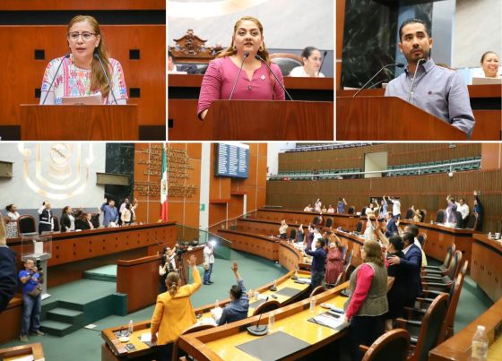 Refuerzan marco legal para el desarrollo integral de la juventud
