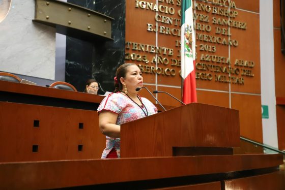 Proponen reforma para garantizar la inclusión y protección de las personas con discapacidad