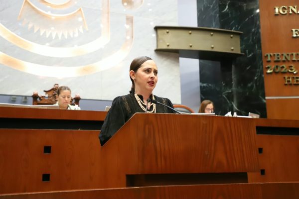 Llaman desde el Congreso a fortalecer atención de la salud mental de grupos vulnerables