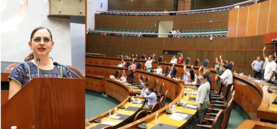Busca el Congreso conocer situación de las Unidades de Rehabilitación en municipios